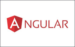 angular developer inhuren