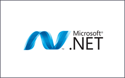 .net developer inhuren