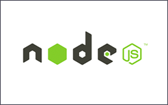 nodejs developer inhuren