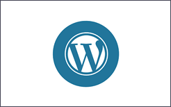 wordpress developer inhuren